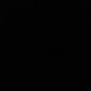 Meet your Posher, Beau